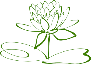 lotus-blossom-304876_640